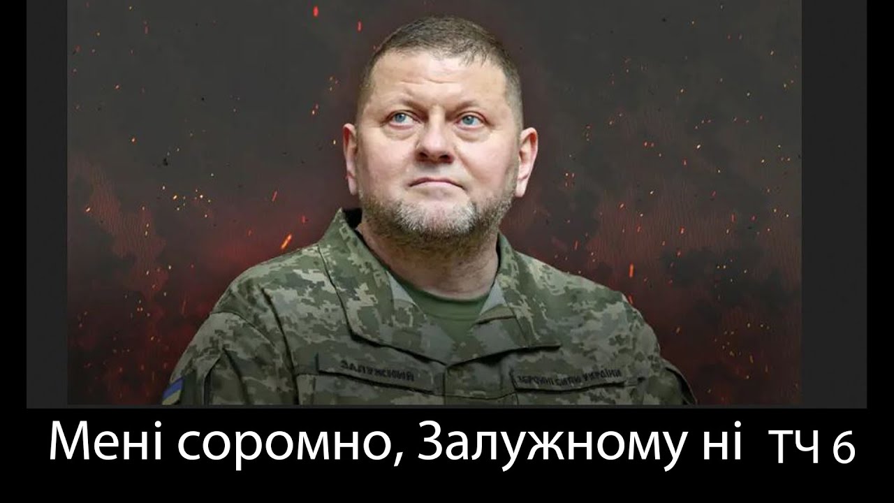 Мені соромно, Залужному ні