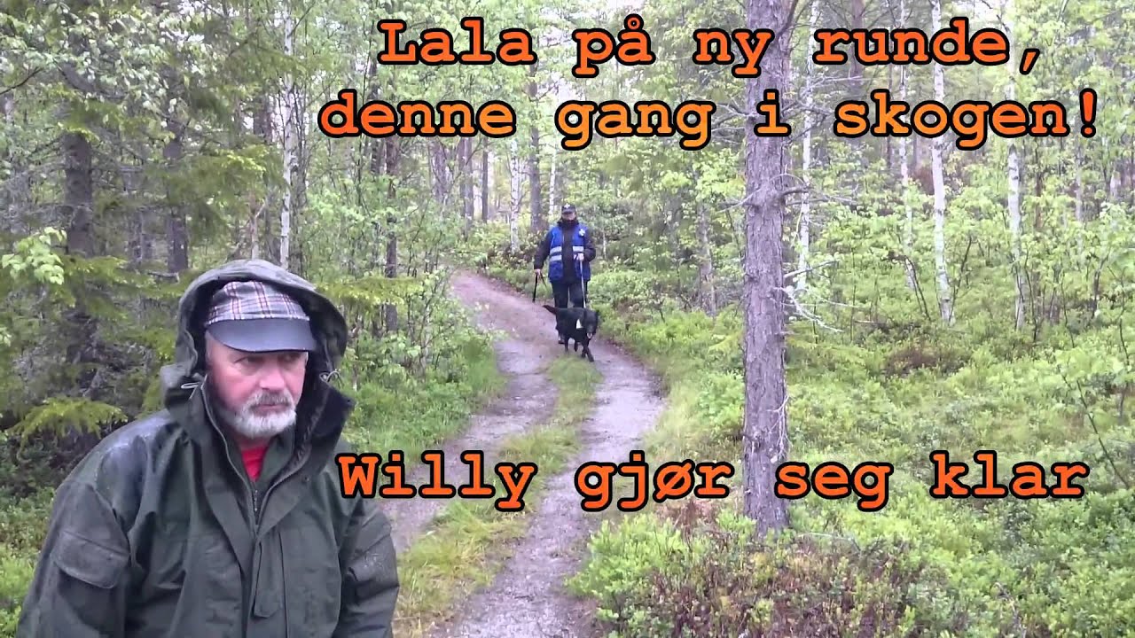 NRH Trøndelag Hovedkurs 2015 - lag 7