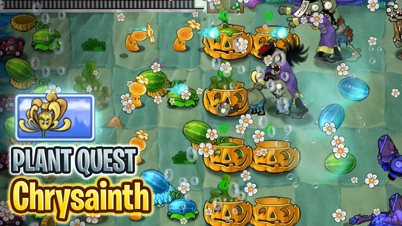 🌼 Chrysainth 🌼 | PvZ Ultimate