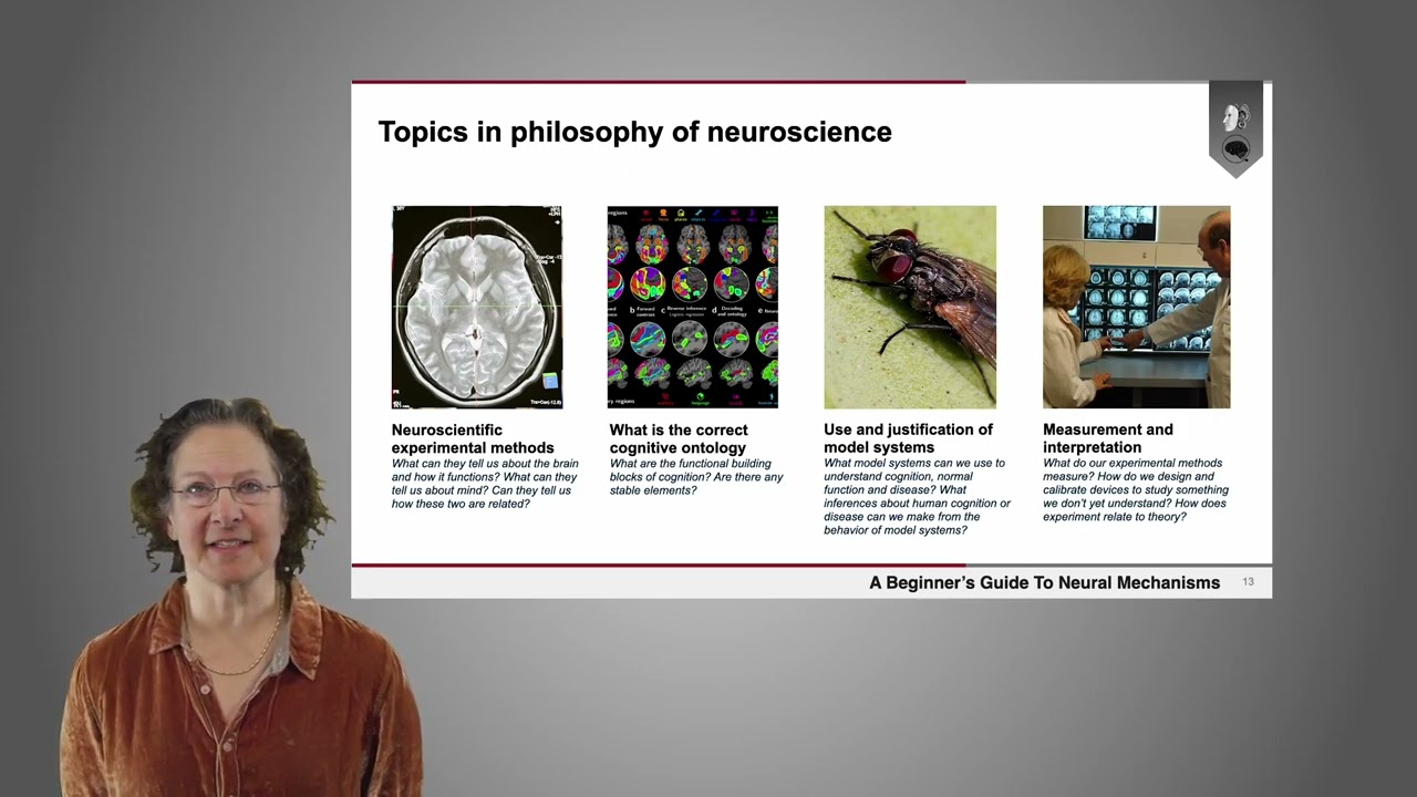 Big questions in philosophy of neuroscience | Dr. Adina Roskies (Part 2 of 4)
