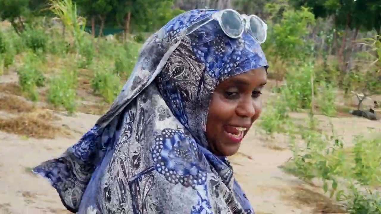 February 25, 2025    BEERAHA  DIGAAGA  LODA   BARWAAQADA LAMU