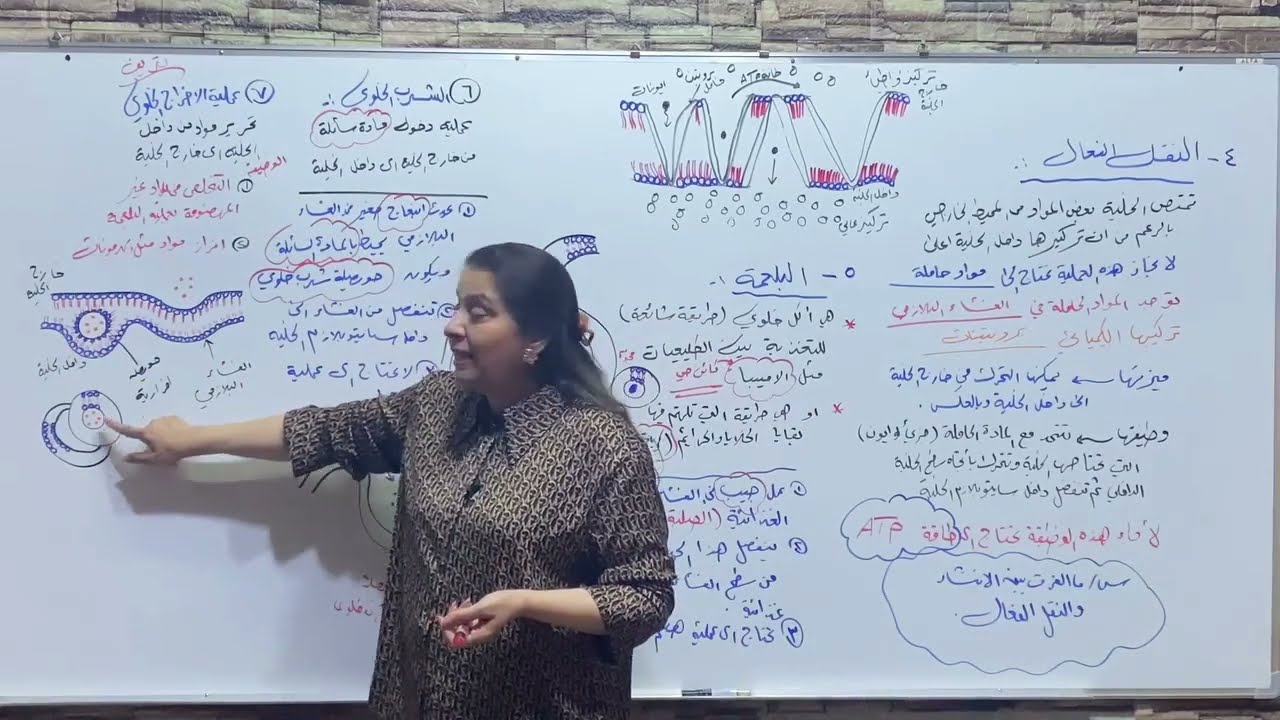 السادس اعدادي  منهاج عربي / مراجعة مركزة /الفصل الاول الجزء السادس