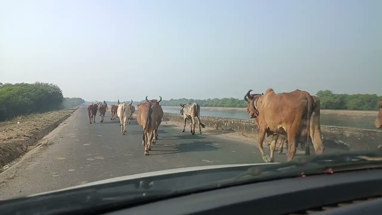 زندگی کا سفر ۔۔۔۔