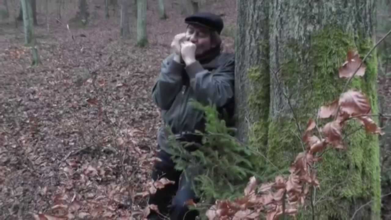 Deszcz, jesienny deszcz. Pieśń żołnierska na ustnej harmonijce.
