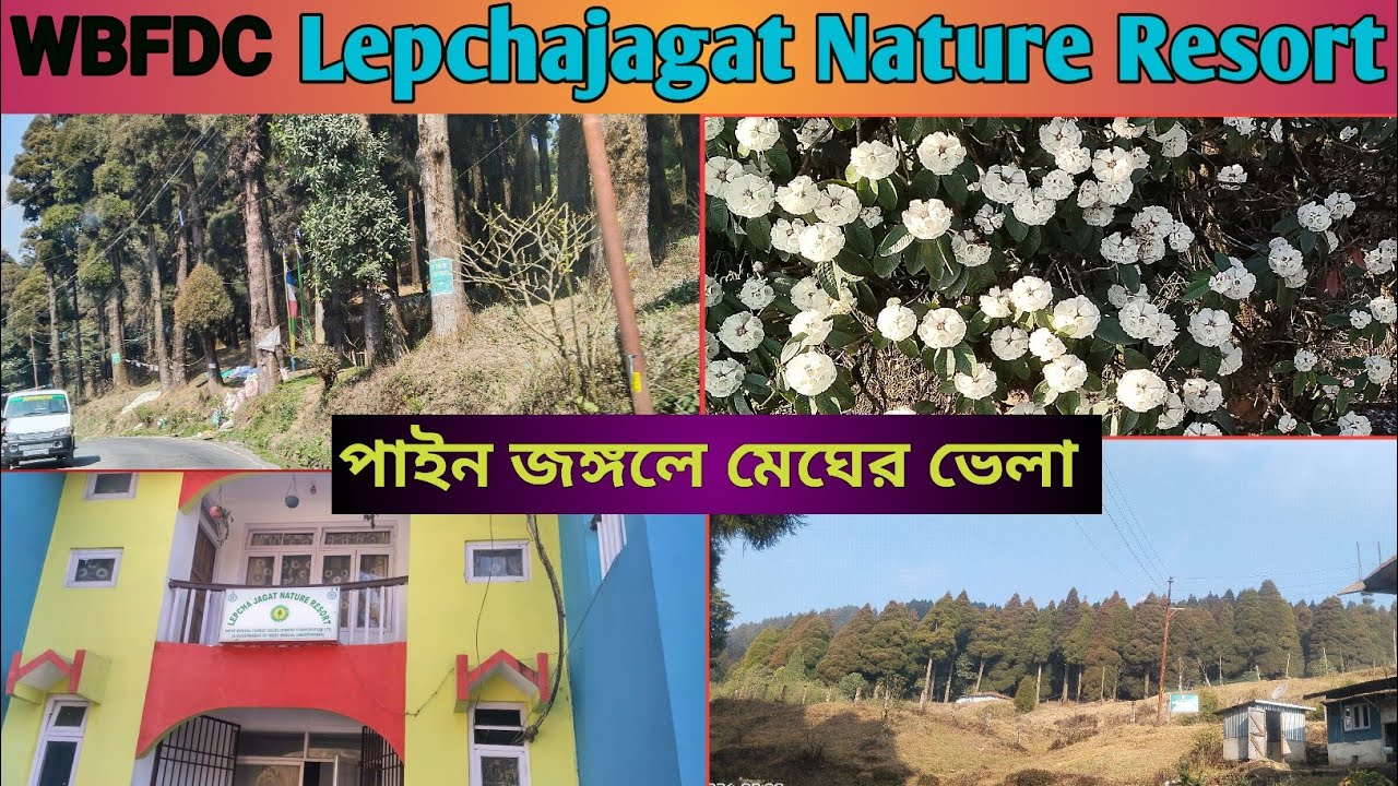 LEPCHA JAGAT NATURE RESORT W.B.F.D.C | ROOM TOUR FOREST BUNGLOW | DARJEELING TOUR 2024