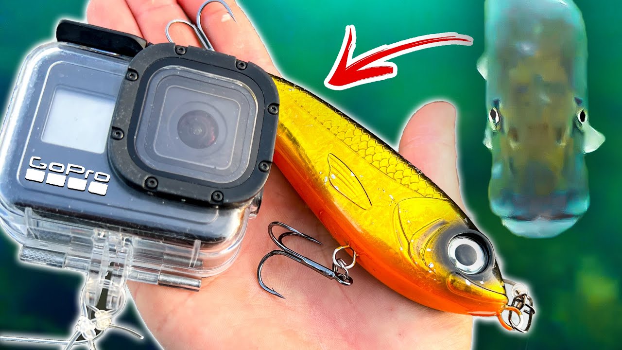 Редкие Кадры Щучьих Атак В Прозрачной Воде | Team Galant