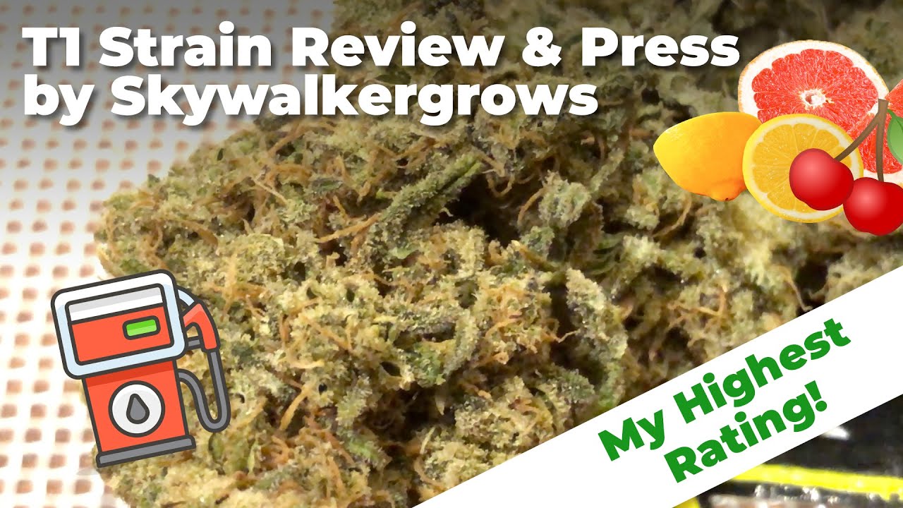 T1 CBD Hemp Flower Review and rosin press | Skywalker_grows | Conscious Clouds Episode #11