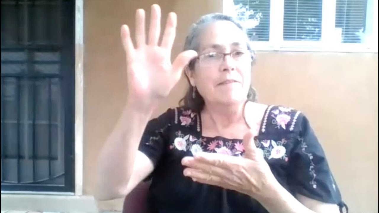 Terry Vinson: Delving into ASL Linguistics & Non-Manual Signs | A Deaf Perspective on Language