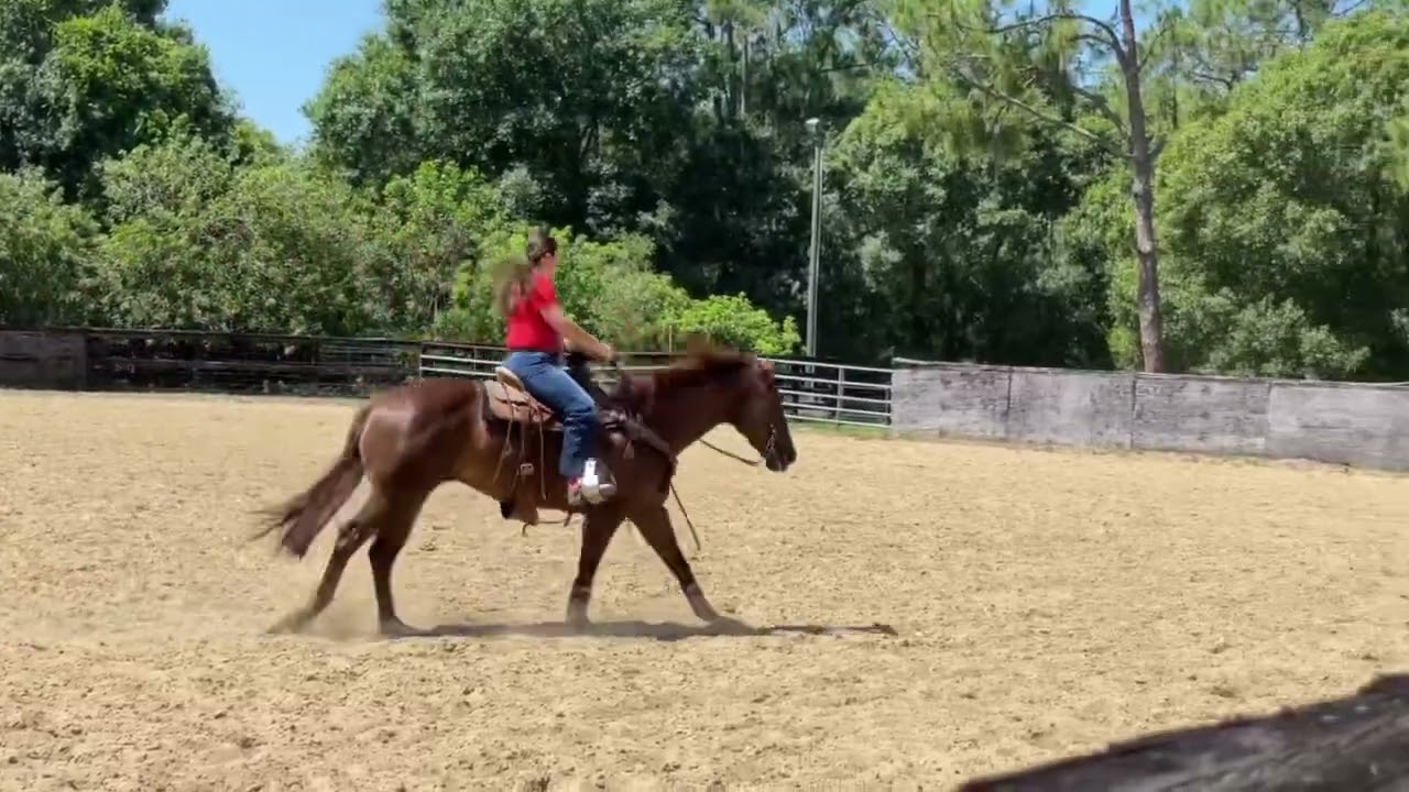 Mariela extended loping during reining lesson