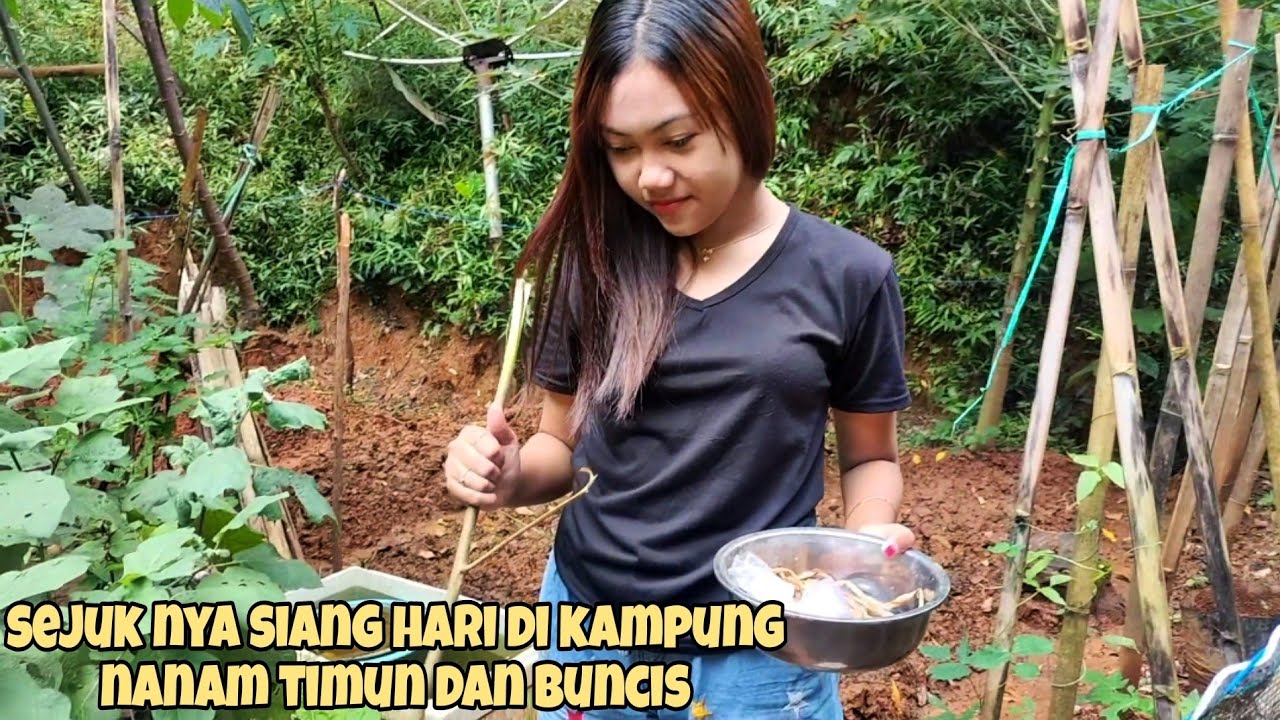 SIANG HARI AJAK OLIV NANAM TIMUN BUNCIS KACANG PANJANG DI HALAMAN RUMAH 