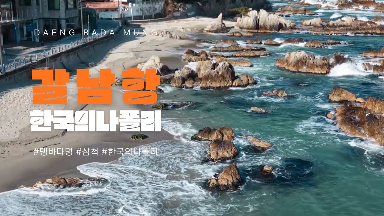 [댕바다멍] 강아지와 함께 떠난 삼척 갈남항, 드론으로 본 투명한 바다