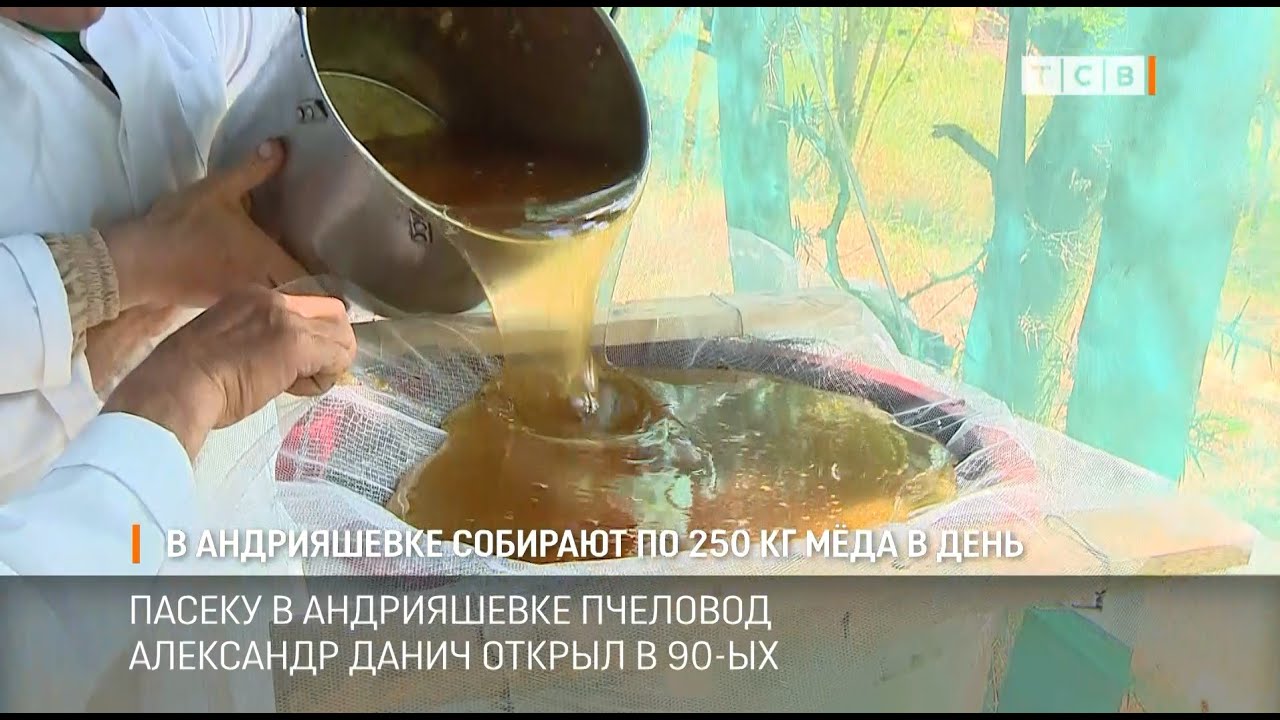 В Андрияшевке собирают по 250 кг мёда в день