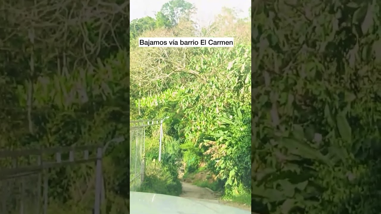 Llega a la Finca Villa Milena: Recorrido a El Hechales
