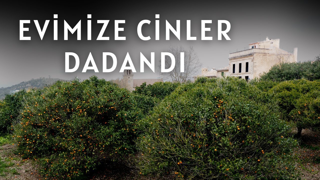 Hatay'da Portakal Bahçesinin Ortasındaki Evimize Cinler Musallat Oldu | Korku Hikayeleri Paranormal