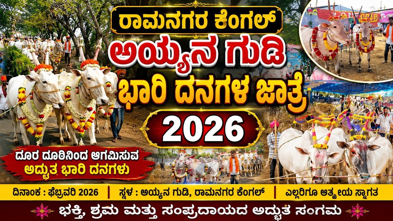 ಅಯ್ಯನ ಗುಡಿ  ಬಾರಿ ದನಗಳ ಜಾತ್ರಾ ಮಹೋತ್ಸವ 2026 | Ramangara| 