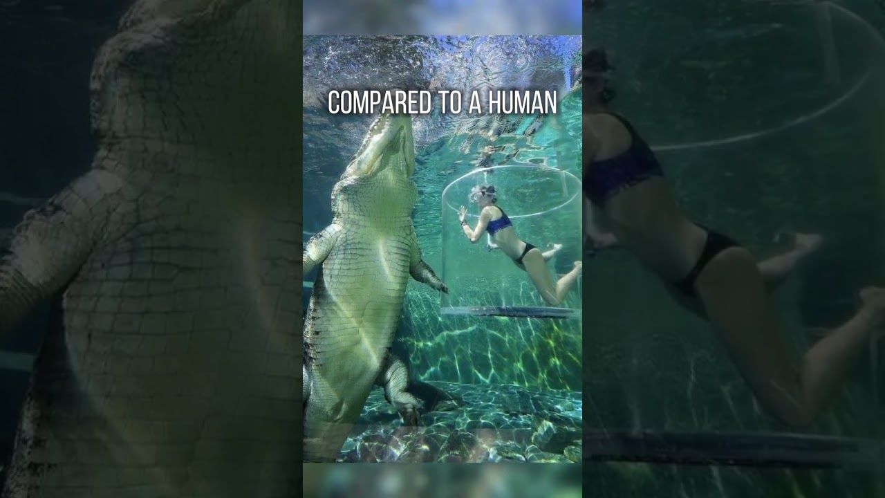 Things that are bigger than you think #fact #scary #trendingshorts #viral