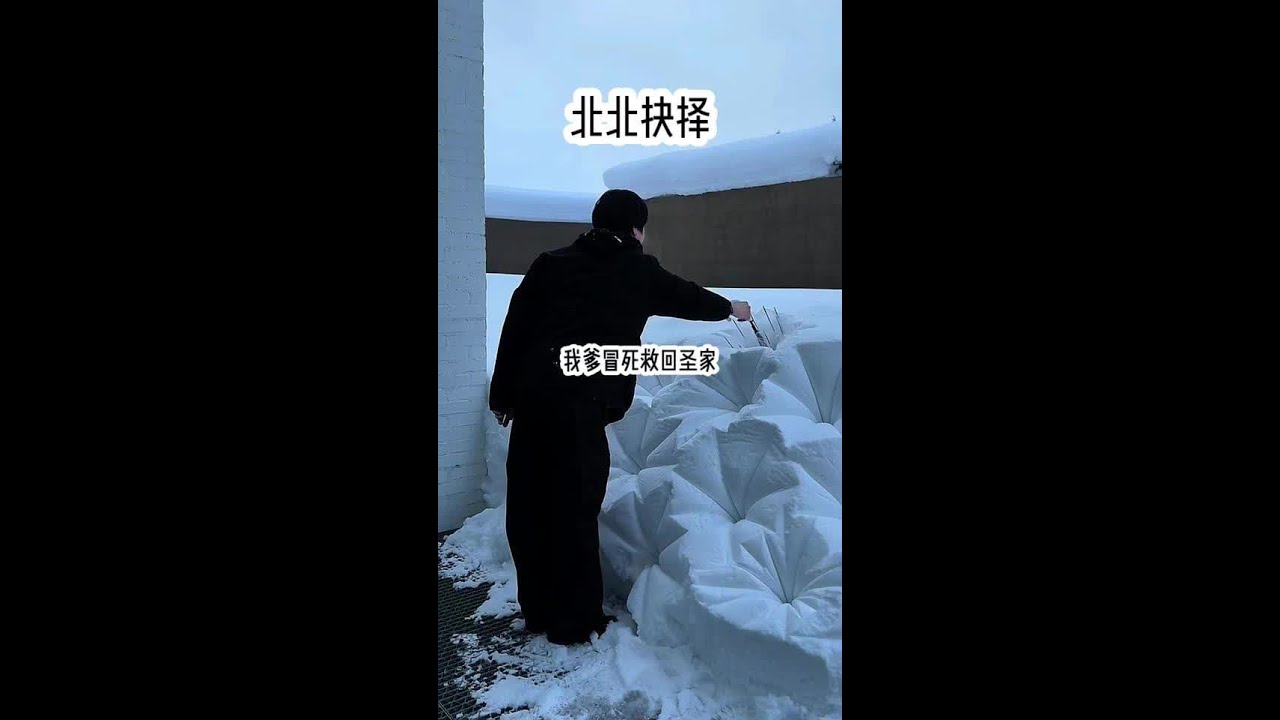 #我是奶龙