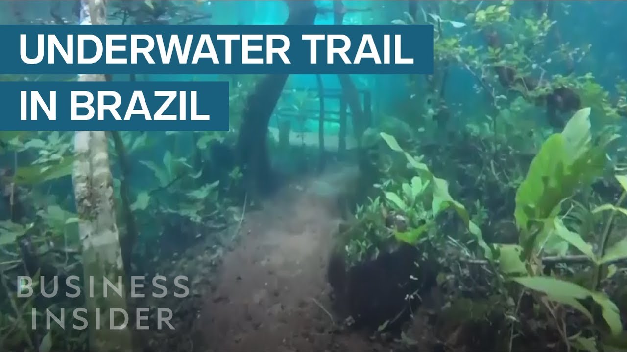 Heavy Rain Turned This Hiking Trail Into An Underwater Paradise