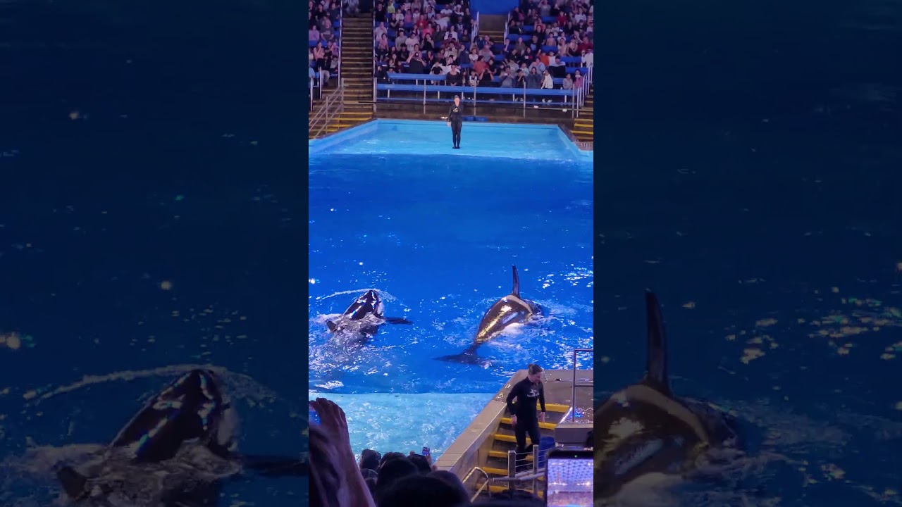 seaworld
