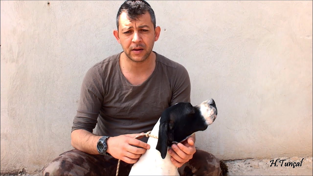 ZORUNLU APORT NASIL YAPILIR ? UYGULAMALI ANLATIM.