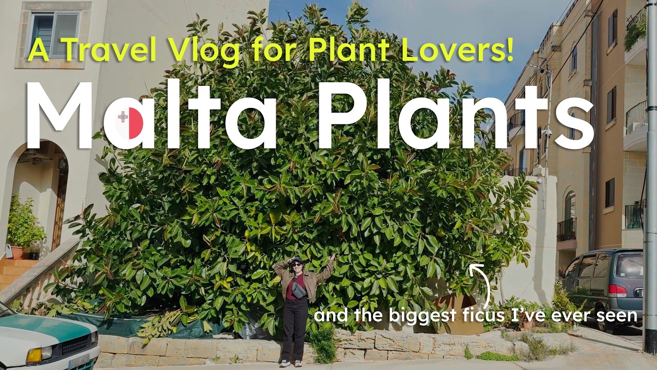 A Plant Lover’s Dream Destination - Exploring Malta’s Flora!