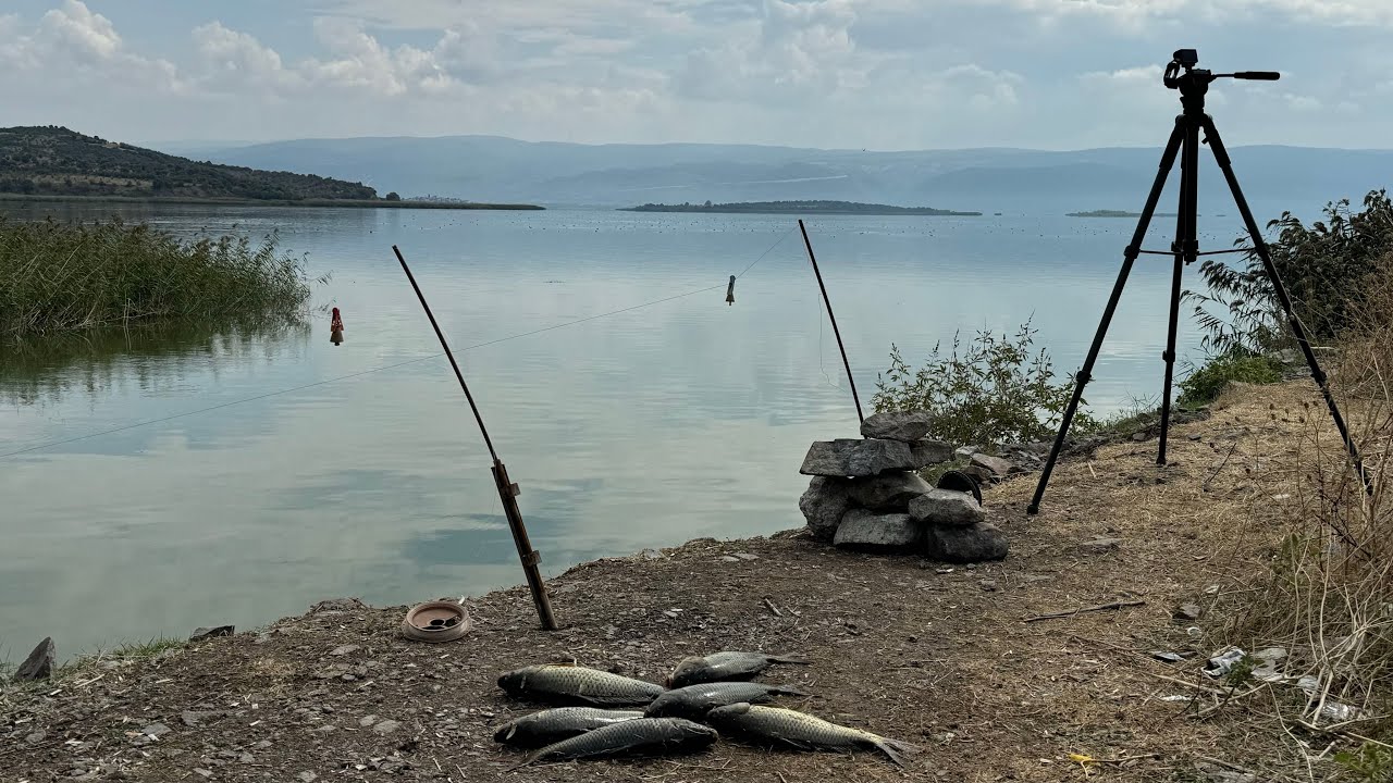 BURSA ULUABAT GÖLÜNDE ZİLLER SUSMADI,,,SAZANLAR ÇILDIRDI!!!