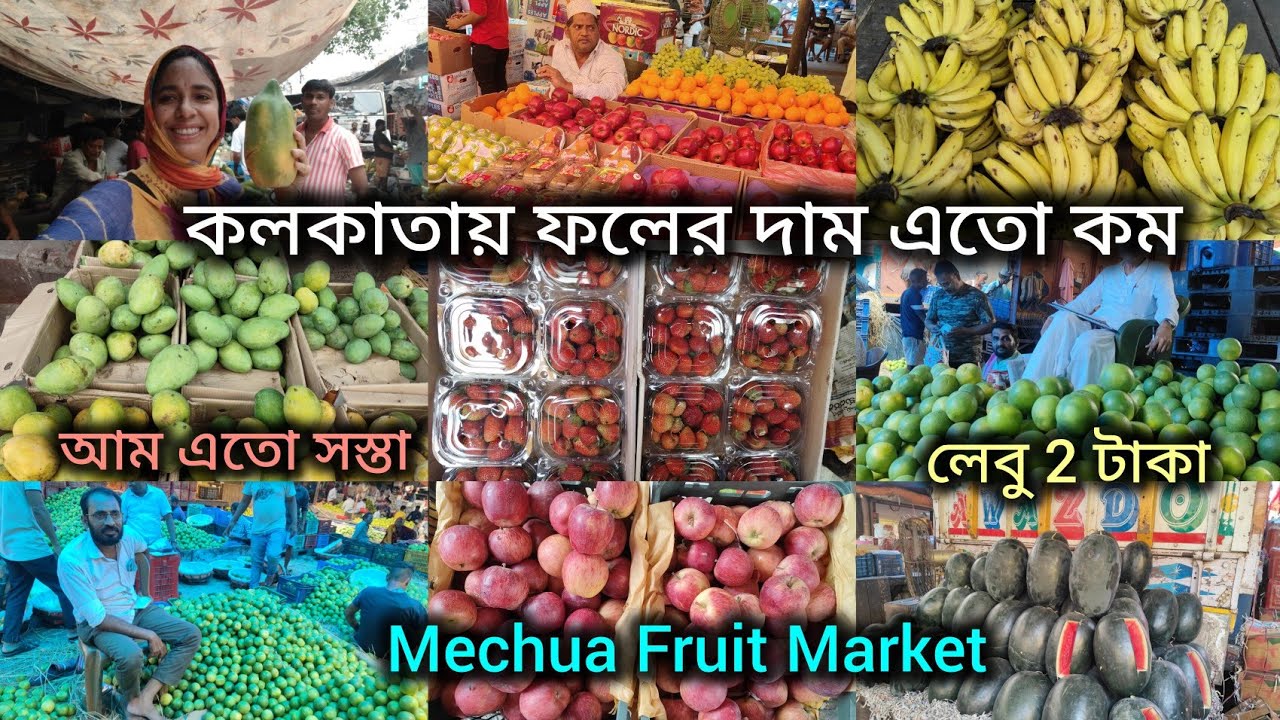 Mechua Fruit Market Kolkata/ ফলের মার্কেটের কি অবস্থা😲 14.04.2025 এ দাম কি ফলের/ মুসম্বি 2 টাকা🔥