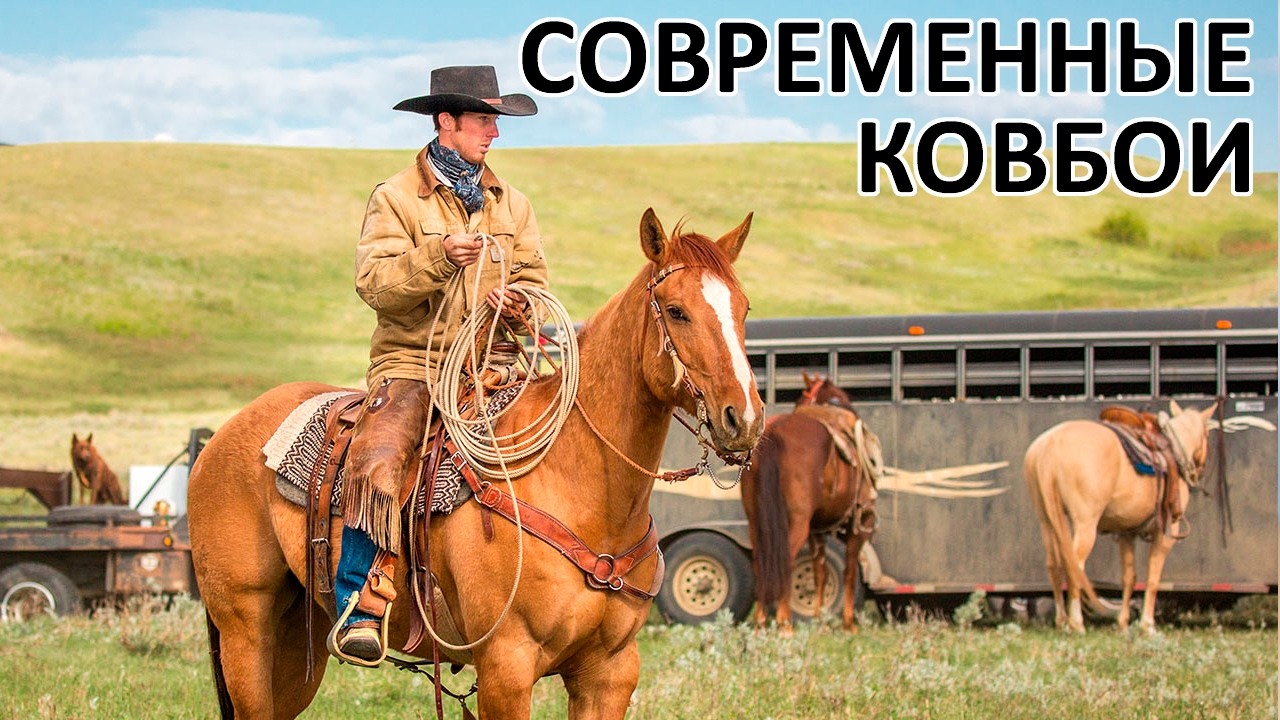 Как живут ковбои сегодня?