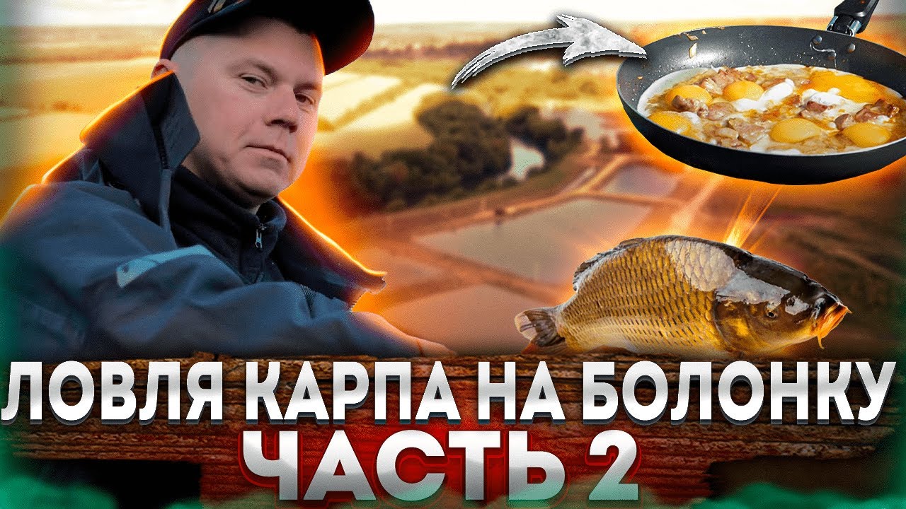 Секреты улова карпа на поплавок: Мастерство на платных водоемах! Болонская ловля! 2 Часть