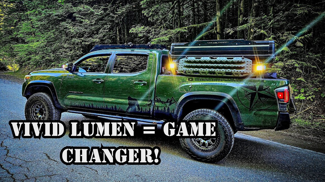 The Vivid Difference: Light Install That Changes Everything!!