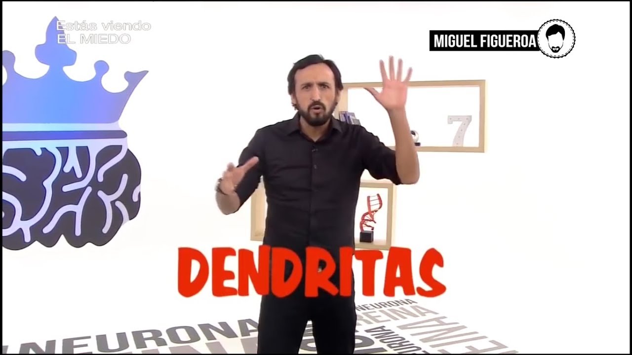 LAS DENDRITAS - MIGUEL FIGUEROA desde La Sachatribu