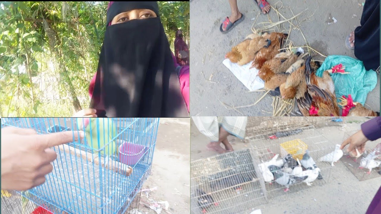 মানুষ যায় গরু ছাগলের বাজারে আর আমি আসলাম হাঁস মুরগির বাজারে 🥰