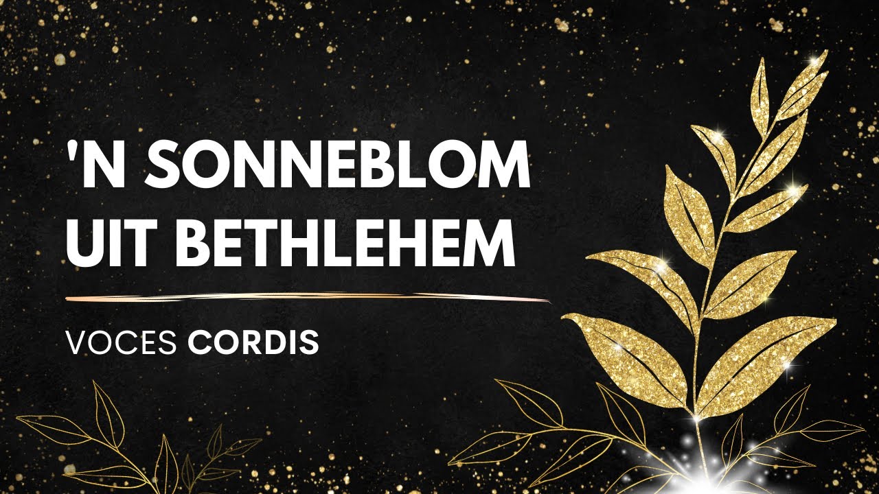 'n Sonneblom uit Bethlehem | VOCES CORDIS