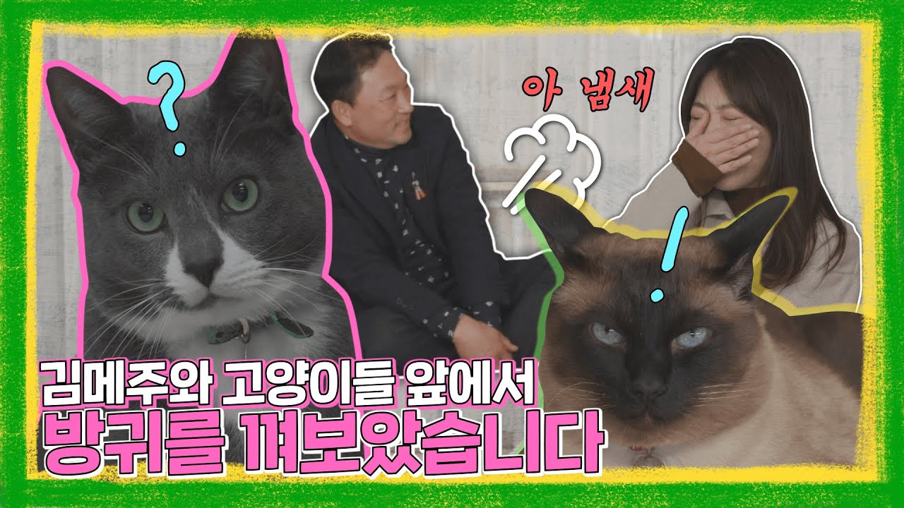 신동엽이 무릎 꿇고❓ 조회수 1100만회의 아버님은 방구💨를 뀌고❓⚡ㅣ어바웃펫ㅣ @김메주와 고양이들
