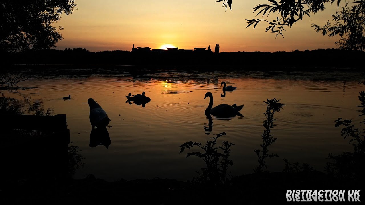 Walking around Kingsmill Reservoir - Sutton in Ashfield Nottinghamshire