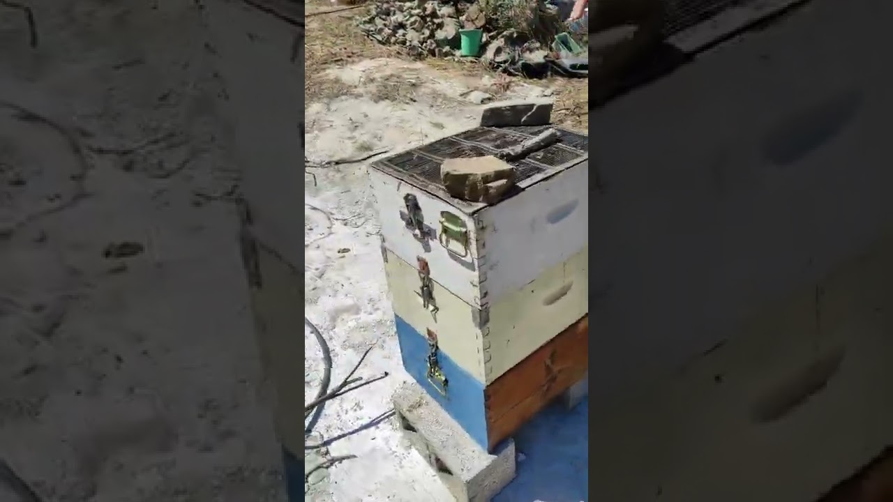 Παγίδα για σερσεγκια απο τον φίλο μας Κωνσταντίνο στην Κάρπαθο