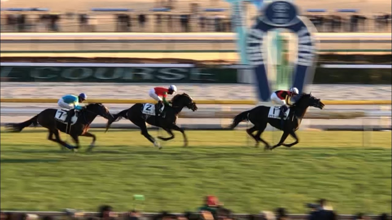 【現地】アウダーシア C.ルメール 3歳未勝利