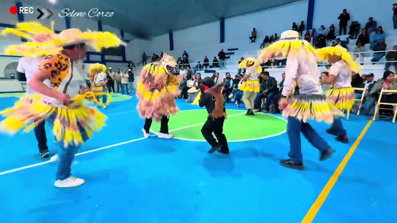 Danza del tigre , San Fernando , Chiapas 2026 #carnaval #cultura #selenecorzo #viralvideo 