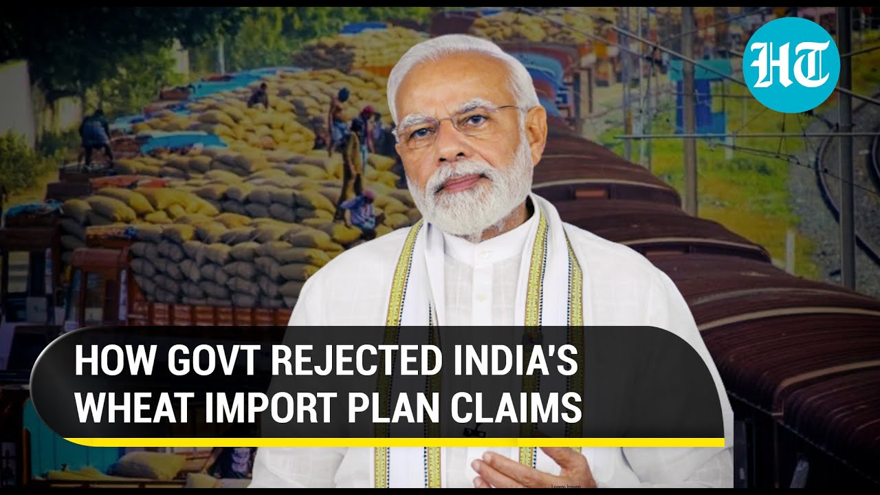 'Sufficient Stock': India denies report on wheat import plan amid record price rise