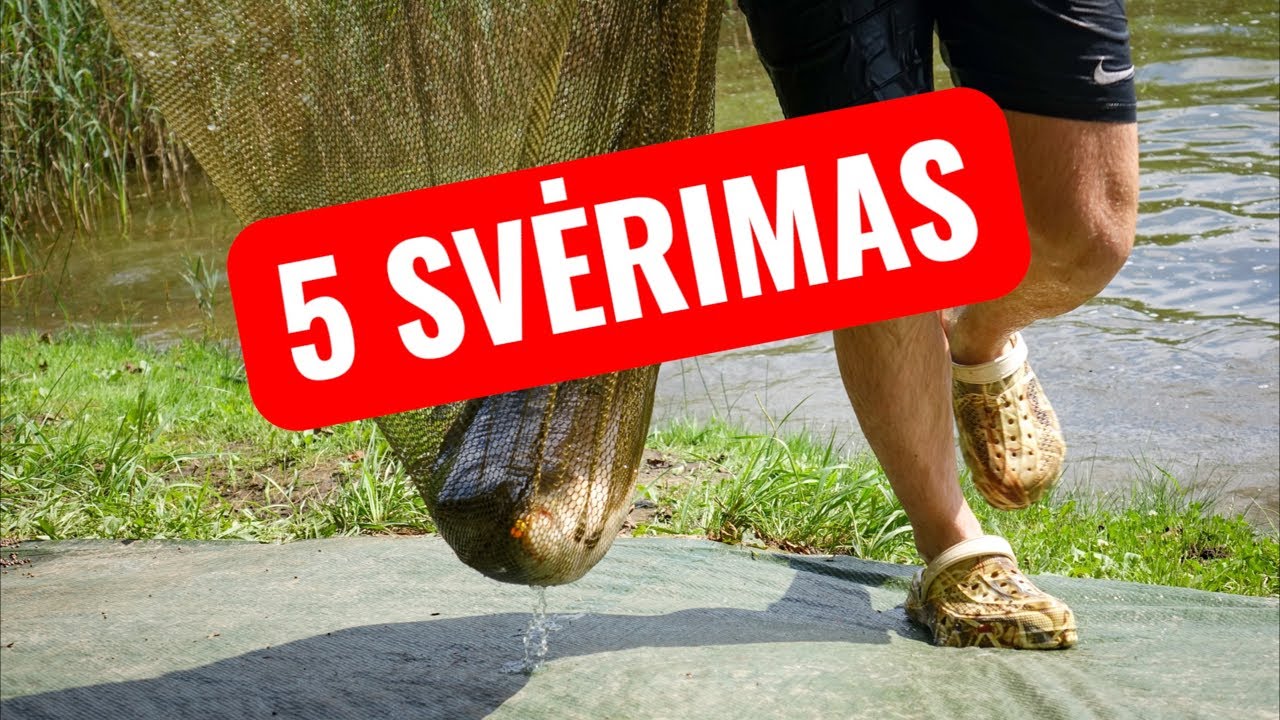 2025 LSKŽČ, Krante.lt 🏆, 5 svėrimas, zona B