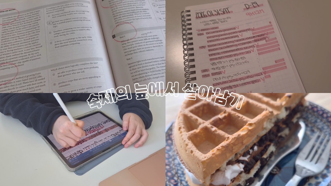 sub | 평균 8시간 공부한 주말 | 48시간 초밀착