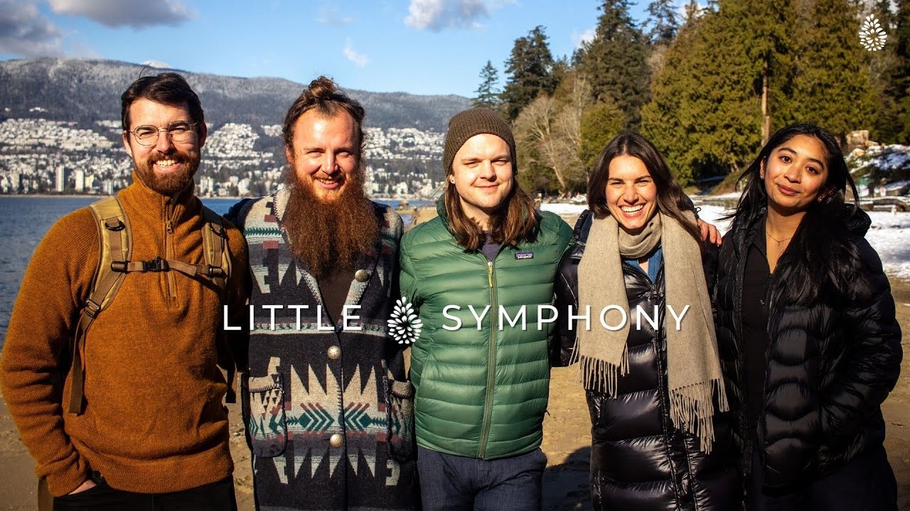 We are Little Symphony