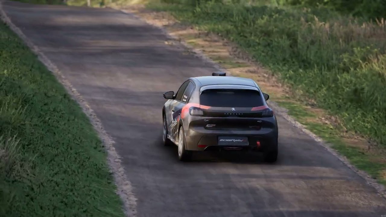 Assetto Corsa Rally Peugeot 208 Alsace Sommet de Munster