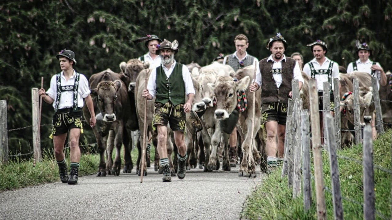 Berghofer Viehscheid 2018