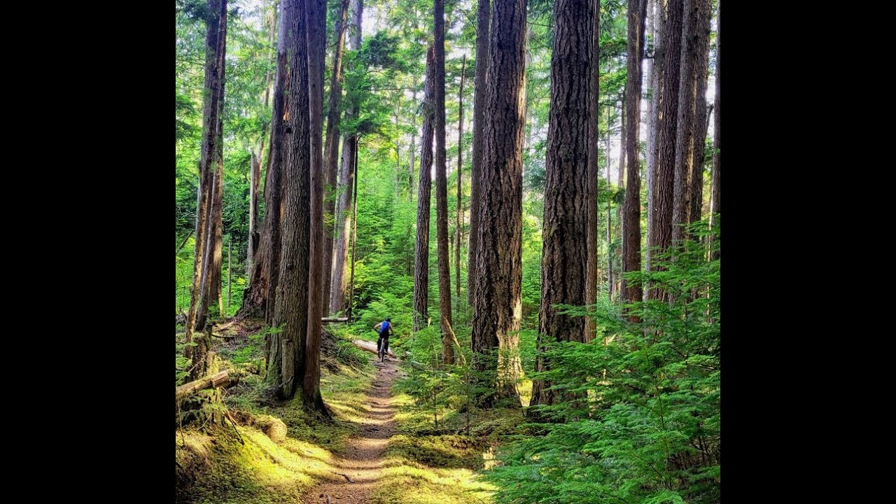 BC Sunshine Coast Mountain Bike Riding