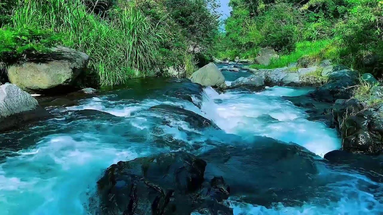 Flowing Mountain Stream Sounds, Forest River Calm Water, Sleep