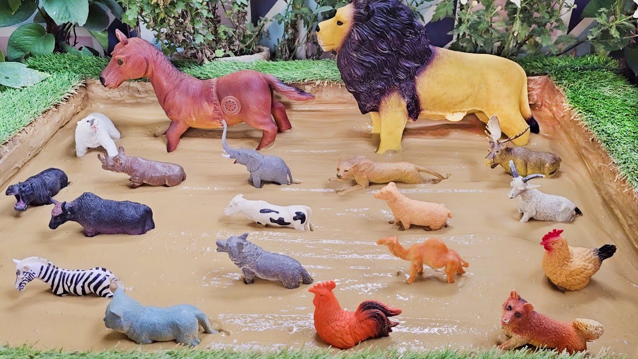From Farm to Jungle: Savannah Animals on an Epic Adventure! 🐔🦁🐜
