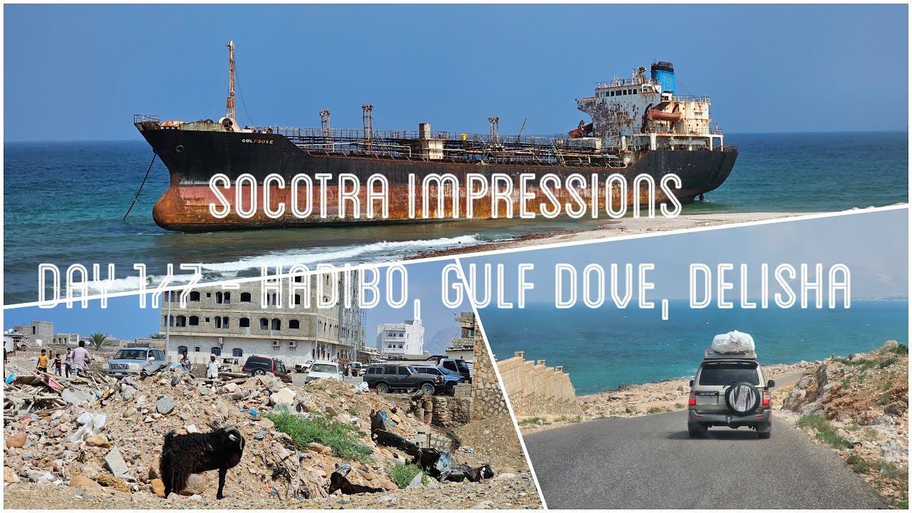 Impressions from Socotra - Day 1 of 7 - Hadibo, Gulf Dove, Delisha Beach / Dunes