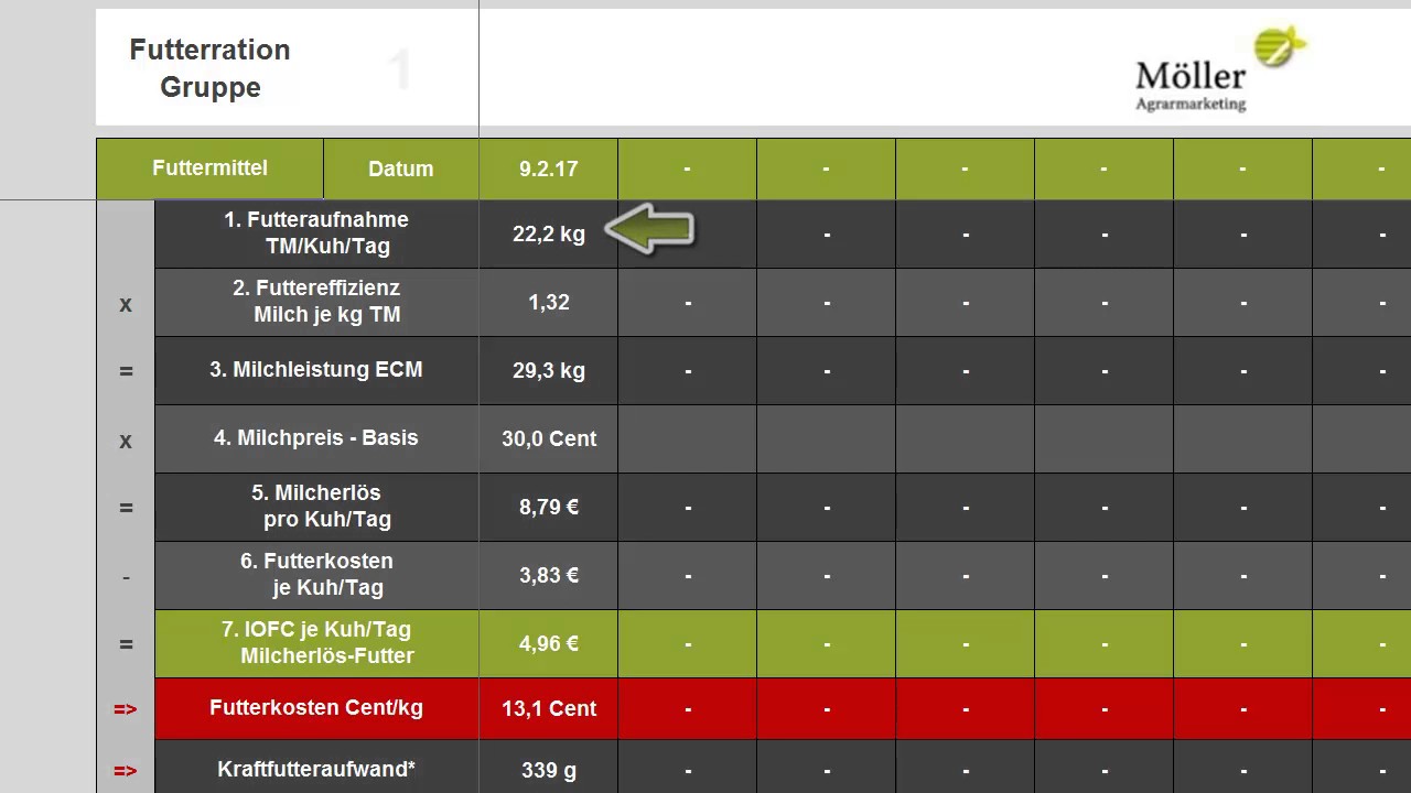 Milcherzeugung - 100 K&uuml;he in Rheinland-Pfalz - DSDF #3 - Deutschland senkt die Futterkosten f&uuml;r K&uuml;he