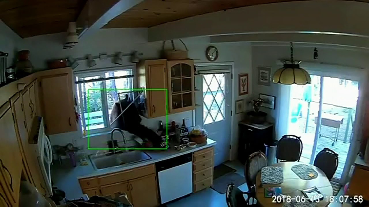 Bear breaks into Tahoe home